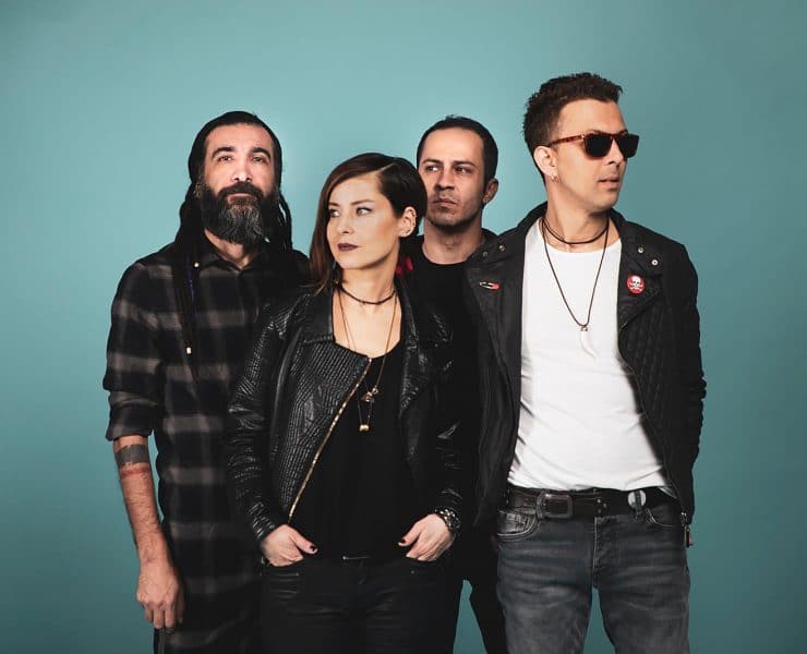 narda afrika - küskün yengeç