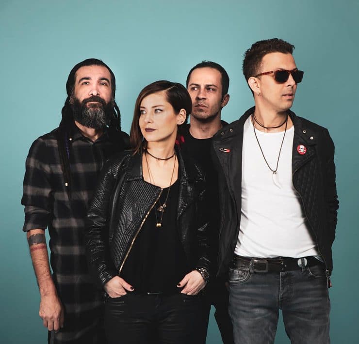 narda afrika - küskün yengeç