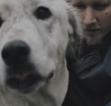 şanışer - susamam - altmuzik