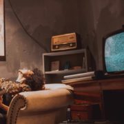 batu akdeniz, röportaj, kimdir, hakkında